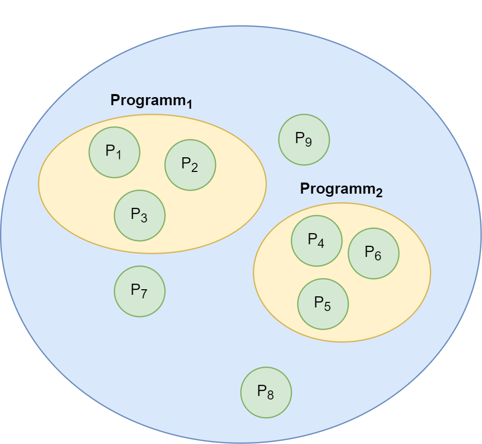 Programmmanagement